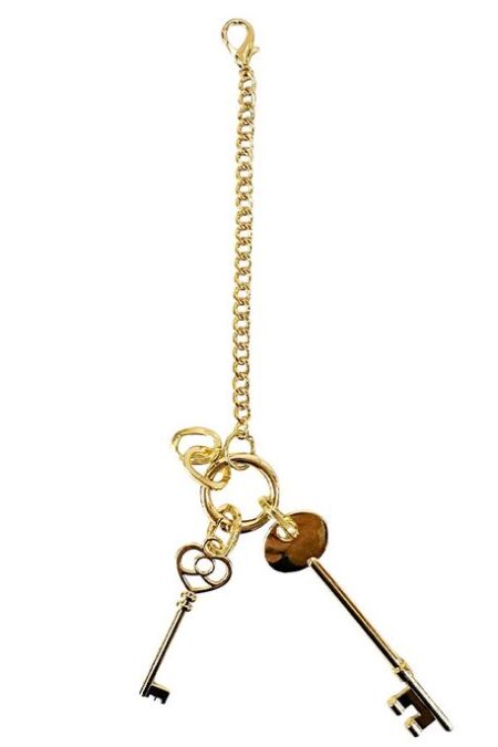 ÇANTA AKSESUARI VE ANAHTARLIK ANAHTAR ALTIN