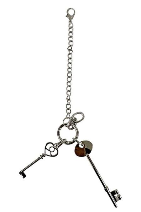 ÇANTA AKSESUARI VE ANAHTARLIK ANAHTAR GÜMÜŞ